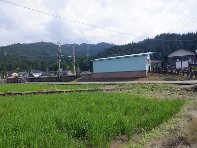 �����w�摜