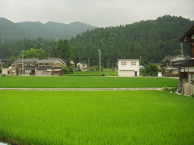 �����w�摜