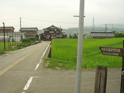 �����w�摜