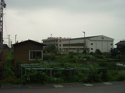 �����w�摜