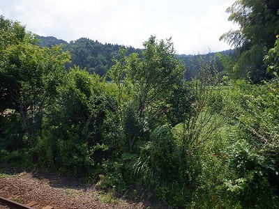 �������w�摜