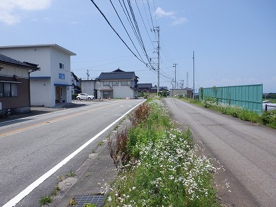 �������w�摜