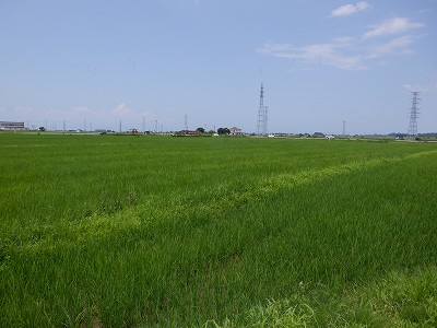 �������w�摜