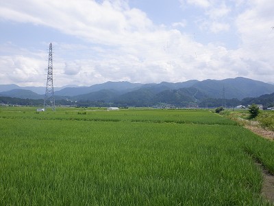 �������w�摜