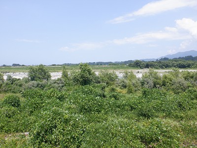 �������w�摜