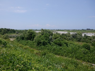 �������w�摜