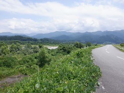 �������w�摜