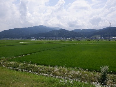 �������w�摜