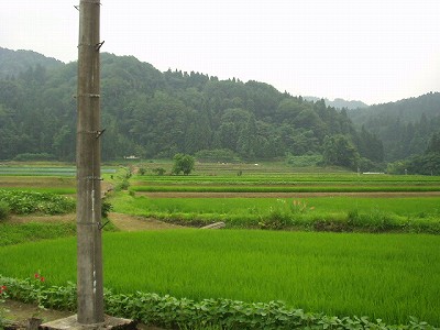 �������w�摜