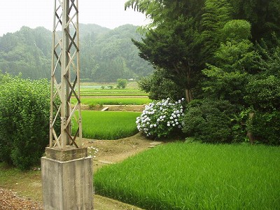 �������w�摜