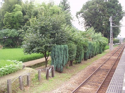 �������w�摜