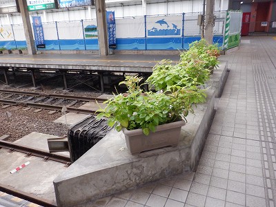 dSxRw摜