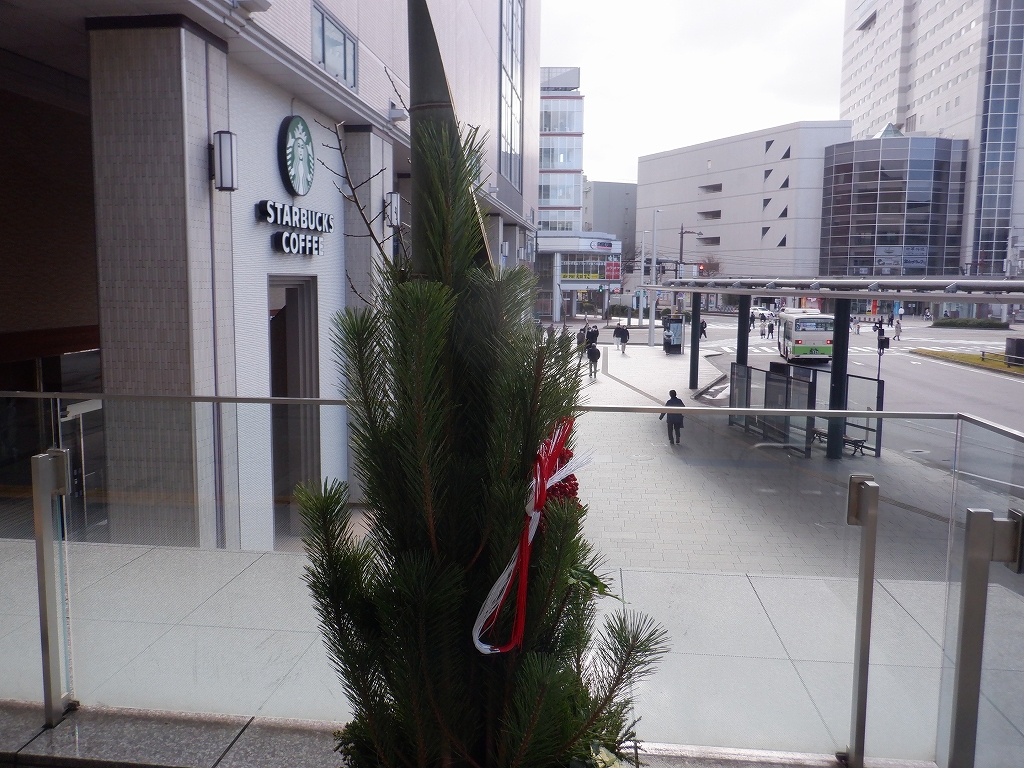 �d�S�x�R�w�摜