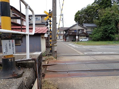 �ω����w�摜