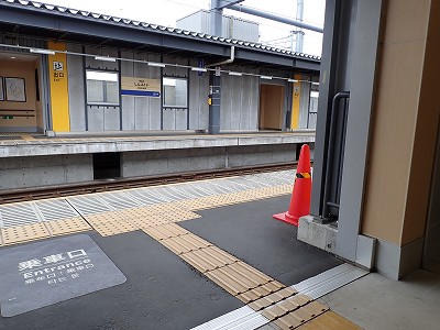 �V����w�摜