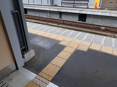 �V����w�摜