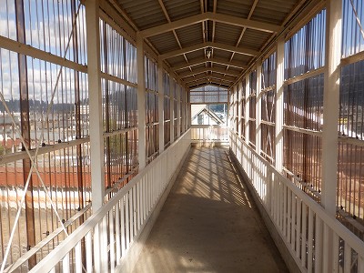 王子保駅