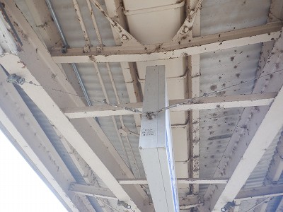 �����w�摜