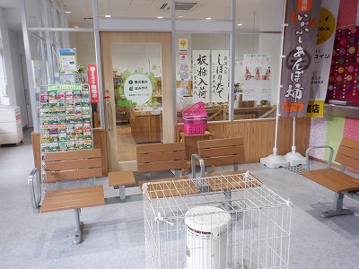 �����w�摜