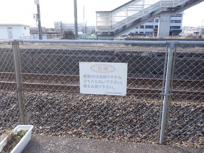 �k�I�]�w�摜