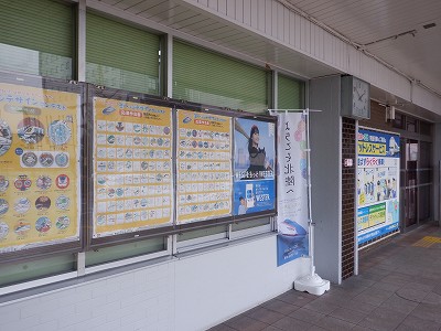 �����w�摜