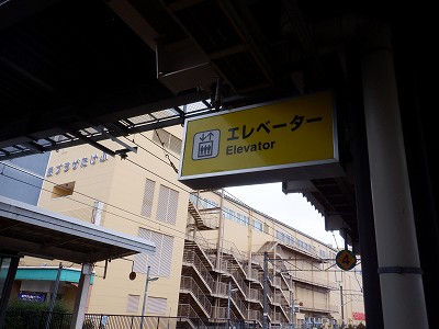 �����w�摜