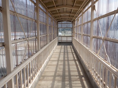 �����w�摜