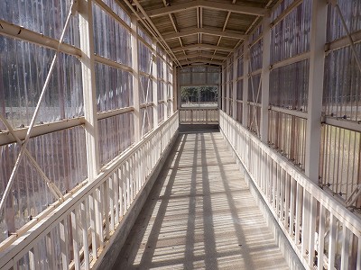 �����w�摜