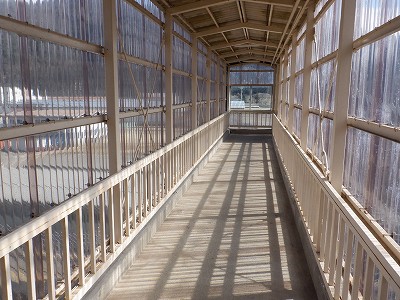 �����w�摜