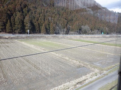 �����w�摜