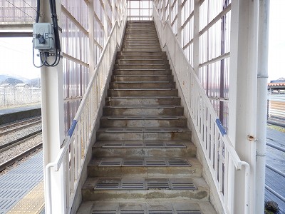 ���q�ۉw�摜