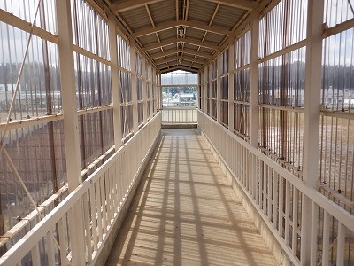 ���q�ۉw�摜