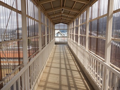 ���q�ۉw�摜