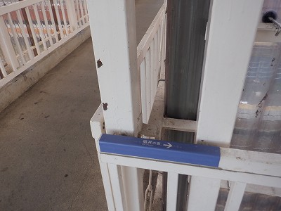 ���q�ۉw�摜