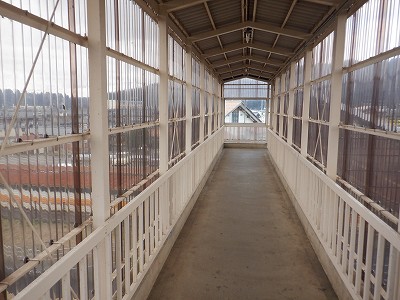 ���q�ۉw�摜