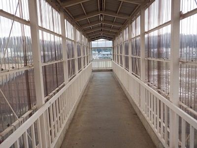 ���q�ۉw�摜