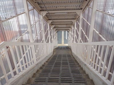 ���q�ۉw�摜