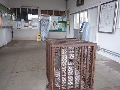 ���q�ۉw�摜