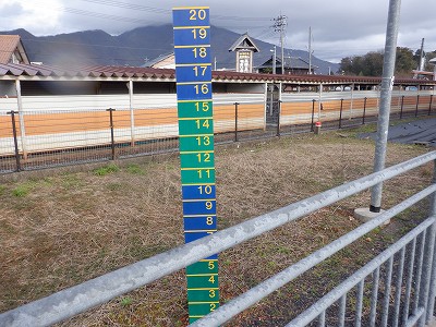 ���q�ۉw�摜