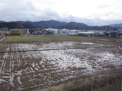 ���q�ۉw�摜