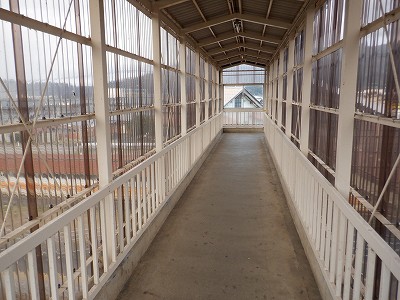 ���q�ۉw�摜