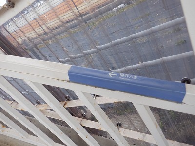 ���q�ۉw�摜