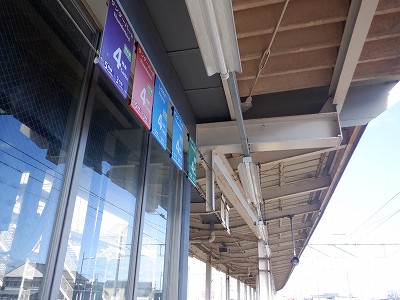 �����w�摜