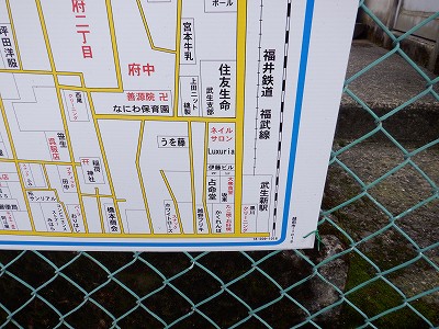 ӐVw摜