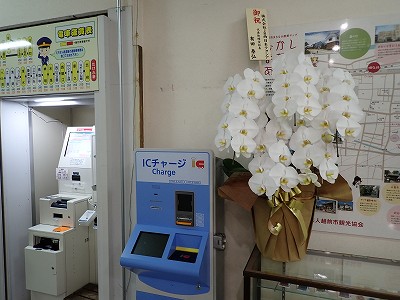 ӐVw摜