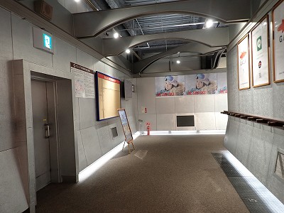 �K�[������w�摜