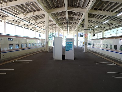 �K�[������w�摜