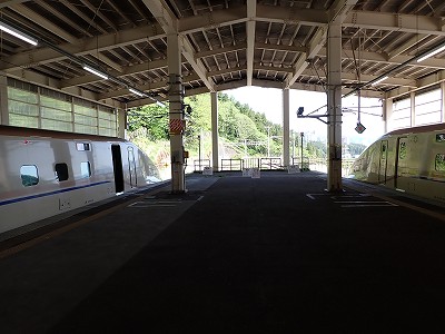 �K�[������w�摜