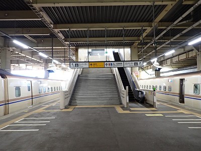 �K�[������w�摜