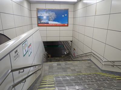 �K�[������w�摜